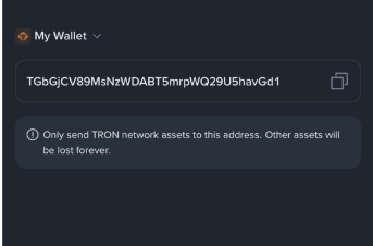 How to get a TRC20 wallet address