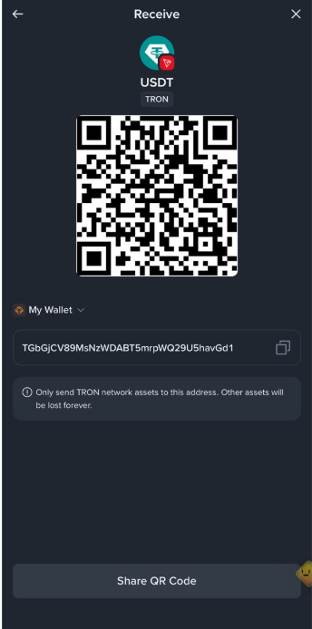 USDT wallet address
