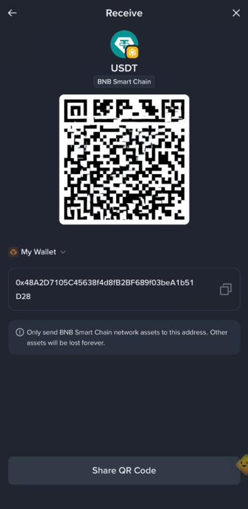 USDT wallet address